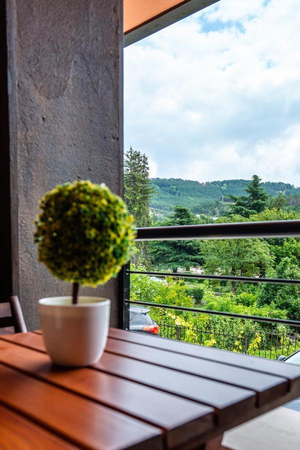 Park Apartment Emilin Sandanski Zewnętrze zdjęcie